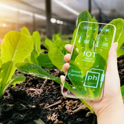 Uvod u IoT za pametne farme: kako početi